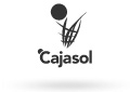 Cajasol, Club de Baloncesto