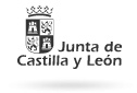 Junta de Castilla y Leon